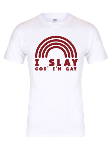 I Slay Cos' I'm Gay - Unisex Fit T-Shirt