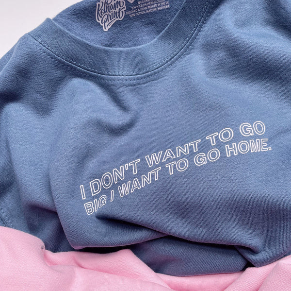 I Don't Want To Go Big, I Want To Go Home - Unisex Fit Sweater