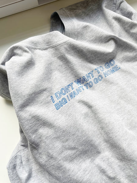 I Don't Want To Go Big, I Want To Go Home - Unisex Fit T-Shirt
