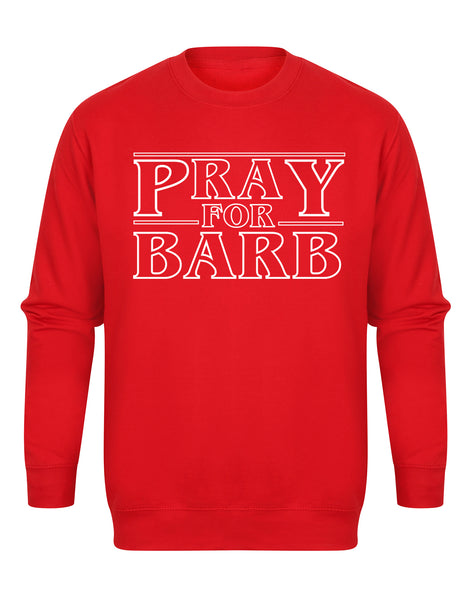 Pray For Barb - Unisex Fit Sweater