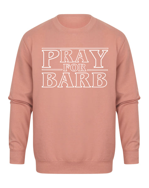 Pray For Barb - Unisex Fit Sweater