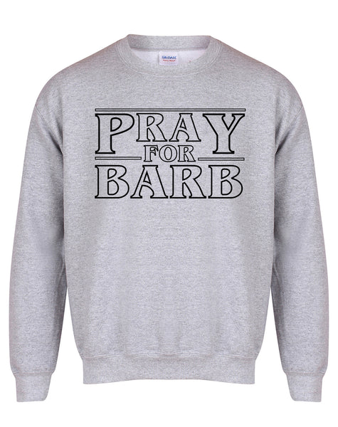 Pray For Barb - Unisex Fit Sweater