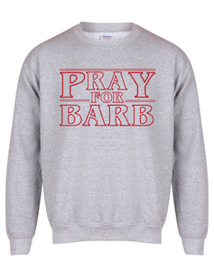 Pray For Barb - Unisex Fit Sweater