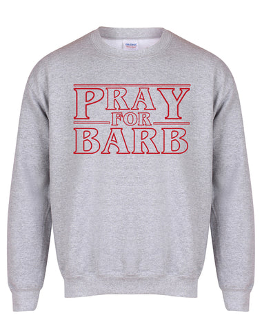 Pray For Barb - Unisex Fit Sweater