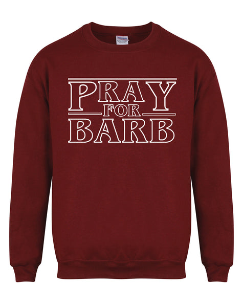 Pray For Barb - Unisex Fit Sweater