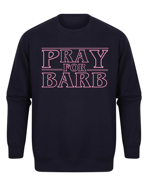 Pray For Barb - Unisex Fit Sweater