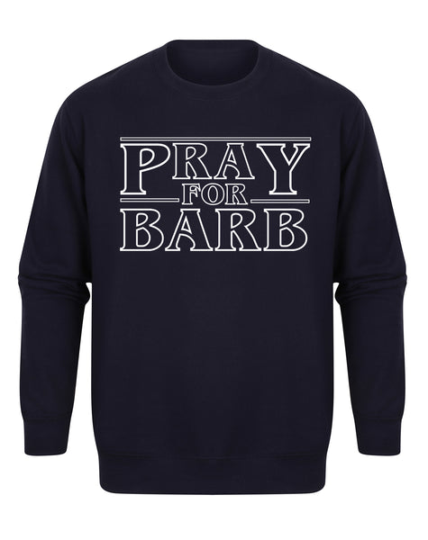 Pray For Barb - Unisex Fit Sweater